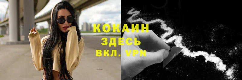 площадка как зайти  Печора  COCAIN FishScale 