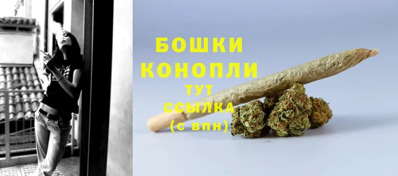 Бошки марихуана THC 21%  Печора 